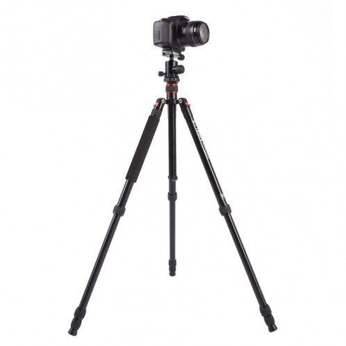 Trépied en aluminium portable réglable Triopo MT-2504C avec rotule NB-1S pour appareil photo Canon Nikon Sony DSLR (Noir) ST410A1499-38