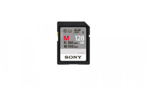 Sony SDXC M series 128GB Classe UHS-II 10 U3 V60 209512-20