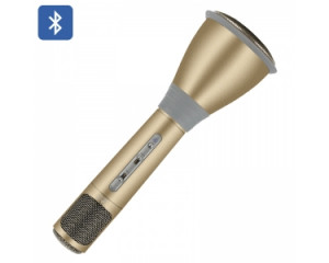 TUXUN K068 – Microphone Karaoké + Haut-parleur / Bluetooth 3.0 / Effets Karaoké KTV / Câble d'enregistrement / Batterie 1000mAh / Doré CT9865-20