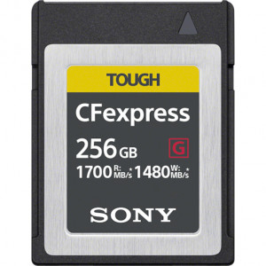 Sony CFexpress Type B 256GB 501713-20