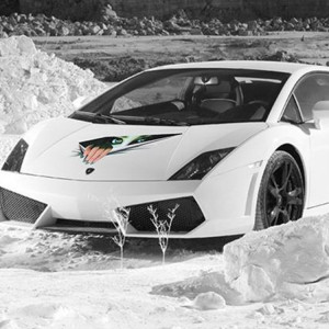 Autocollant de papier de voiture de style horrible de simulation numérique de la caractéristique 3D SH809A1182-20