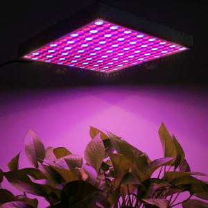 45W SMD 2835 rouge + lumière bleue de croissance de plantes de LED, 225 LEDs lumière de serre chaude d'aquarium, AC 85-265V SH04691620-20