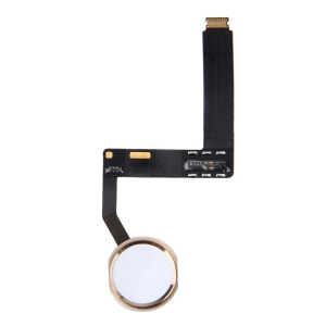 Bouton Home Câble flexible, ne prenant pas en charge l'identification d'empreinte digitale pour iPad Pro 9,7 pouces (or) SH081J1350-20