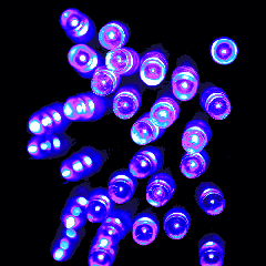 30 LED 2-Mode alimenté par batterie Light String décoration pour la fête de Noël, Longueur: 3m (lumière bleue)