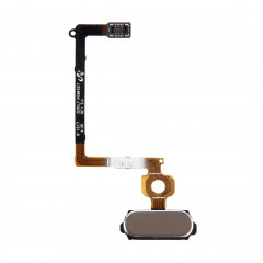 iPartsBuy Home Remplacement de bouton pour Samsung Galaxy S6 / G920F (Gold)