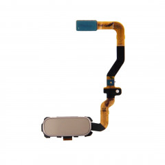 iPartsAcheter pour Samsung Galaxy S7 / G930 Fonction clé Accueil Flex câble (Gold)