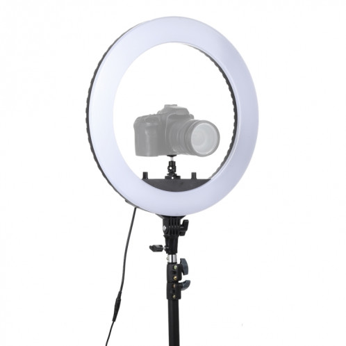 Lampe de poche à retardateur à DEL avec anneau de retardateur pour photographie, prise d'ancrage 18 pouces, sans support SH0056207-010