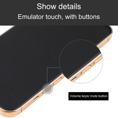 Modèle d'affichage factice pour iPhone 13 professionnel de l'écran noir pour iPhone 13 Pro (Gold) SH696J1498-07
