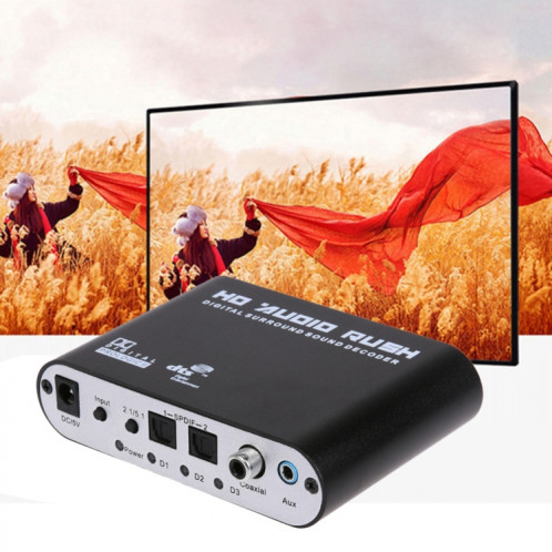 SPDIF Coaxial à RCA DTS AC3 Decoder audio 5.1ch Amplificateur numérique optique Convertisseur analogique et amplificateur HD Audio SH4801907-05