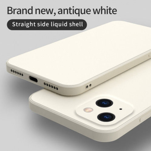 Couleur solide CUBE Doublure de silicone liquide Disquette de silicone liquide pour iPhone 13 (blanc) SH303A1934-08