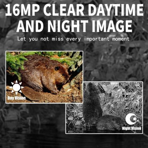 PR300 PRO Vision de la nuit d'extérieur de la caméra de suivi de la chasse 16MP Motion activée SH5910271-06
