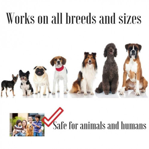 Dresseur de chien anti-aboiement à ultrasons pour animaux de compagnie, spécification : UL10 SH6001921-06