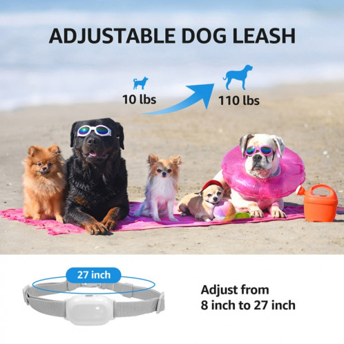 Collier de choc étanche intelligent pour dispositif de dressage de chien télécommandé pour animaux de compagnie, taille: pour deux chiens (blanc) SH802B1476-012