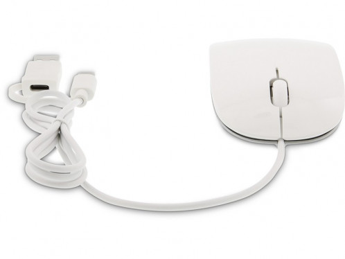 LMP Easy Mouse USB-C Souris optique filaire USB-C / USB-A PENLMP0007-04