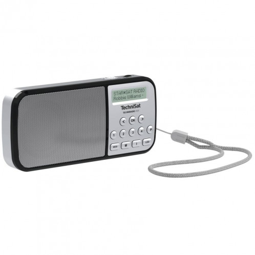 Technisat TechniRadio RDR argent 520746-34