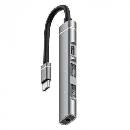 Station d'accueil USB-C / Type-C vers 3,5 mm + 2USB + Type-C HUB (Gris) SH101A1751-37