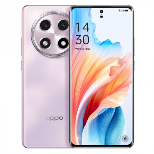 OPPO A2 Pro, 12 Go + 256 Go, empreinte digitale d'écran, 6,70 pouces ColorOS 13,1 Dimensity 7050 Octa Core jusqu'à 2,6 GHz, OTG, réseau : 5G (violet) SO801C1047-314