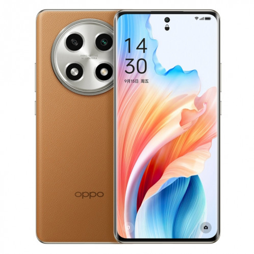 OPPO A2 Pro, 12 Go + 512 Go, empreinte digitale d'écran, 6,70 pouces ColorOS 13,1 Dimensity 7050 Octa Core jusqu'à 2,6 GHz, OTG, réseau : 5G (marron) SO802A148-314