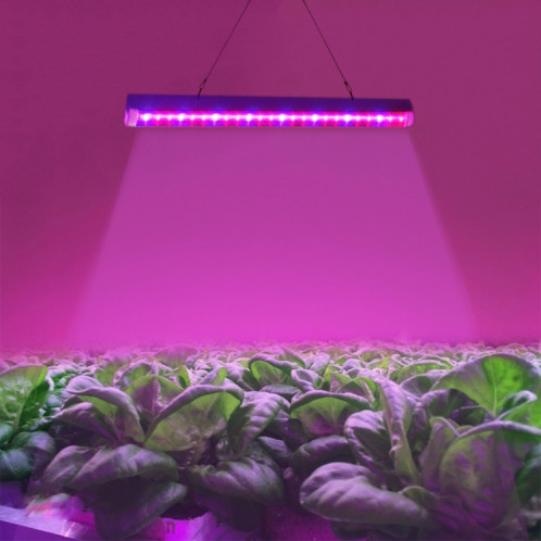 Lumière rouge de croissance de plantes de T5 4.8W + lumière bleue de LED, lumière d'aquarium de lumière de serre chaude de 24 LEDs SH5012975-311