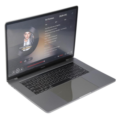 Écran couleur factice non fonctionnel pour Apple MacBook Pro 15,4 pouces SH404D981-38