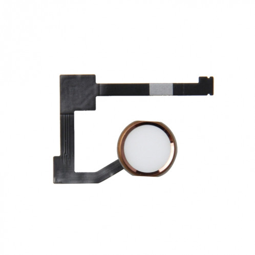 Bouton Accueil Câble Flex pour iPad Pro 12,9 pouces / iPad mini 4, identification d'empreinte digitale non prise en charge (or) SH1101159-34