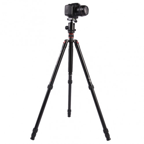 Trépied en aluminium portable réglable Triopo MT-2804C avec rotule NB-2S pour appareil photo Canon Nikon Sony DSLR (Noir) ST413A740-37