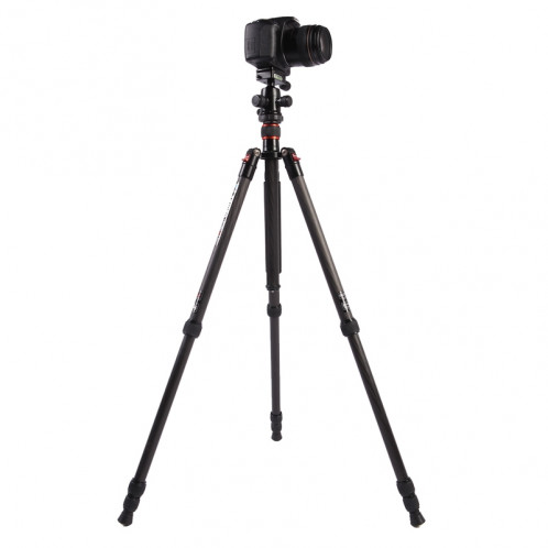 Trépied Portable ajustable en fibre de carbone Triopo GT-2504X8.C avec rotule en aluminium B-1 pour appareil photo Canon Nikon Sony DSLR (noir) ST418A1775-37