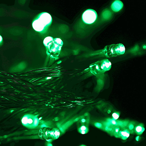 Lumière de corde 100 LED imperméable à l'eau avec le contrôleur, clignotant / effet de fading / Chasing, longueur: 10m, CA 220V, prise de l'UE (lumière verte) SL256G1515-38