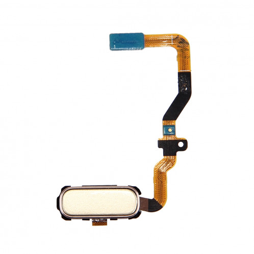 iPartsAcheter pour Samsung Galaxy S7 / G930 câble bouton Flex Home (Gold) SI505J1683-34