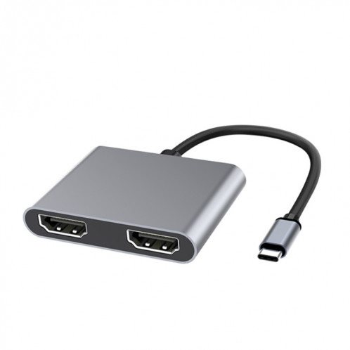 2 en 1 Multifonction USB-C / TYPE-C à double station d'accueil HDMI HUB (gris) SH978H1595-37