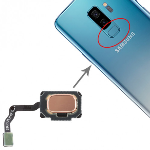 Pour câble flexible du capteur d'empreintes digitales Galaxy S9 / S9 + (or) SH014J1951-35