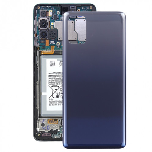 Pour Samsung Galaxy M31s 5G SM-M317F Batterie Couverture Arrière (Bleu) SH59LL654-36