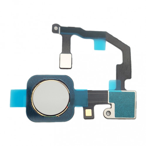 Câble de capteur d'empreinte digitale pour Google Pixel 5A 5G (Blanc) SH787W1194-32