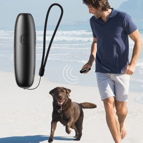 UB100 Ultrasonic Trainer Barking Device Handheld Portable Driving Artefact (Argent) SH201B227-36