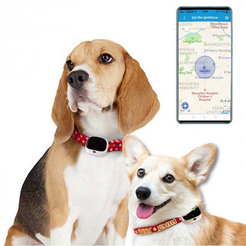 RF-V43 IP67 étanche GPS + LBS + WiFi Pet Locator Pet Collar Tracking Device (Blanc) SH441W624-314