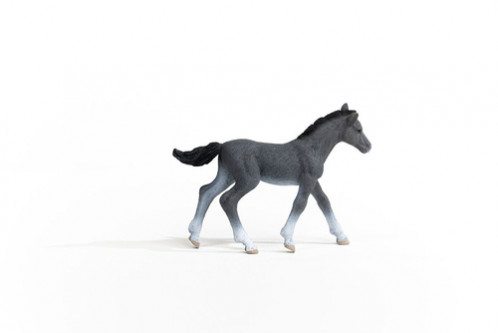 Schleich Club hippique 13944 Poulain Trakehner 696999-36
