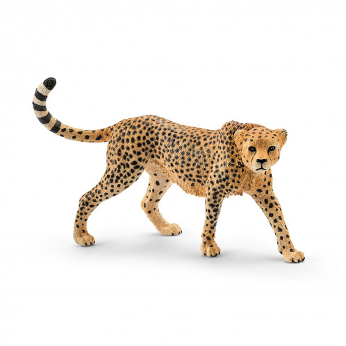 Schleich Safari Guépard femelle 166889-32