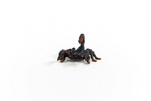 Schleich Animaux sauvages 14857 Scorpion 697153-36