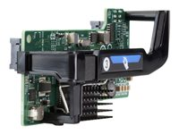 Hewlett Packard Enterprise FlexFabric 10Gb 2-Port 536FLB Adapter XP2212975R449-20