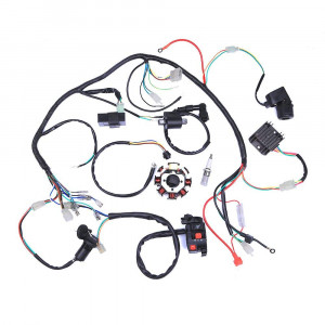 Assemblée électrique de stator de CDI de métier à tisser de faisceau de câblage de voiture pour l'ATV QUAD 125CC-250CC CA63871825-20