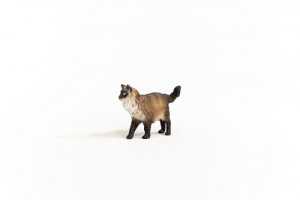 Schleich Vie à la ferme 13940 Chat Ragdoll 696950-20