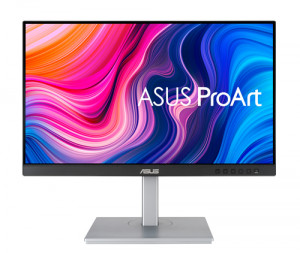 Asus PA247CV 133466-20