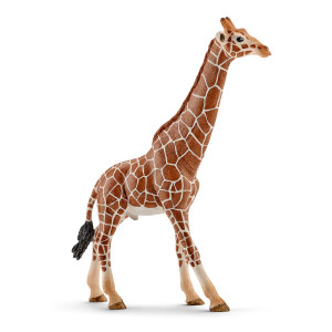 Schleich Safari Girafe mâle 166903-20