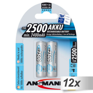 12x2 Ansmann maxE NiMH piles 2500 Mignon AA 2400 mAh 502742-20