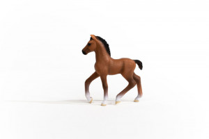 Schleich Club hippique 13947 Poulain Oldenbourg 697055-20
