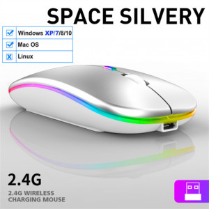 Souris sans fil 2.4G USB rechargeable Bluetooth RGB souris silencieuse avec rétro-éclairage pour ordinateur portable iPad argent C8093UBNL2655-20