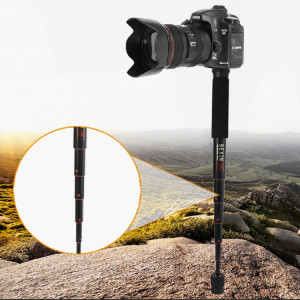 BEXIN P256A Support de monopode en alliage d'aluminium pour appareil photo reflex numérique portable de voyage extérieur (noir) SB203B527-20