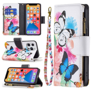 Dessin de couleur Cadre à glissière Horizontal Horizontal Toam Coating avec porte-carte et portefeuille pour iPhone 13 Pro (deux papillons) SH103B279-20