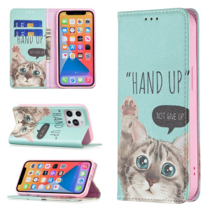 Motif de dessin coloré Invisible Horizontal Horizontal Flip PU Coque en cuir PU avec porte-carte et portefeuille pour iPhone 13 mini (chat) SH201A700-20