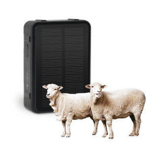 Traqueur GPS étanche pour bovins et ovins à énergie solaire V44 SH8357236-20